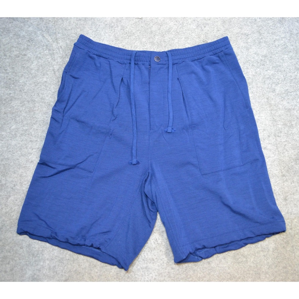 Icebreaker Shorts Mens XL Blue Wool Blend Drawstring Zip Pocket Athletic 9"